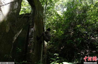 巴西雨林应该开发还是保护