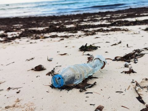 海洋塑料污染成因和影响因素分析