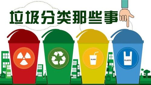 城市垃圾分类实施中的居民反馈与建议