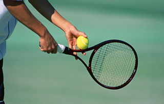 网球运动：现状揭秘与未来发展趋势
