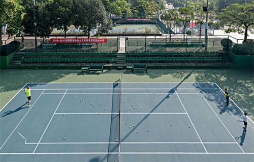 分别是什么,网球的场地类型有几种，分别是：