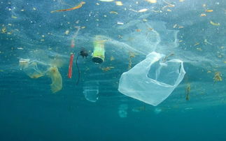 海洋塑料污染的治理方法