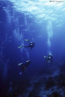 深海探索的最新发现者是谁