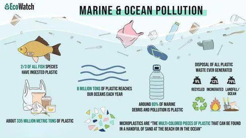 关于海洋塑料污染的问题