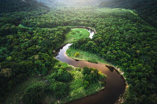 保护巴西热带雨林的重要性