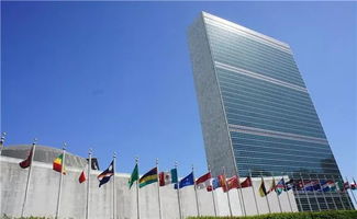 联合国安理会现场