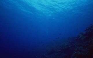 深海探索的成就是什么