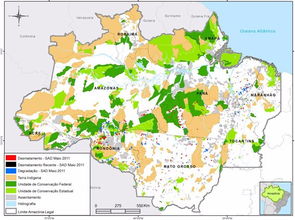 巴西雨林现状分析
