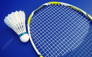 网球影响力比羽毛球高吗
