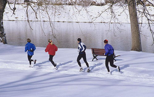 冬季锻炼安排什么体育锻炼项目比较好