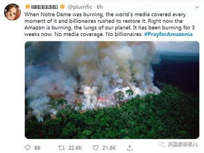 巴西雨林环境效益怎么样