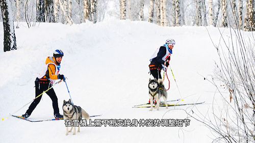 雪橇运动的历史起源