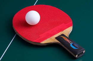 国际乒乓球比赛规则2023最新