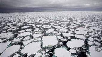 南极冰川融化是不是真的
