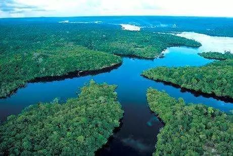 巴西雨林对全球环境作用的影响