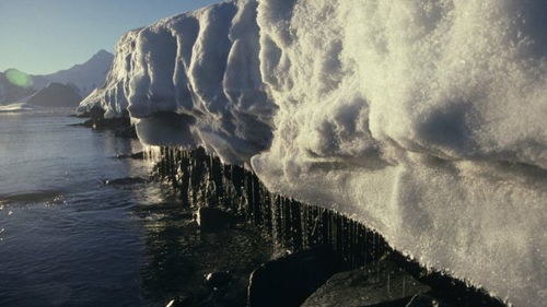 南极洲冰川融化海平面上升多少